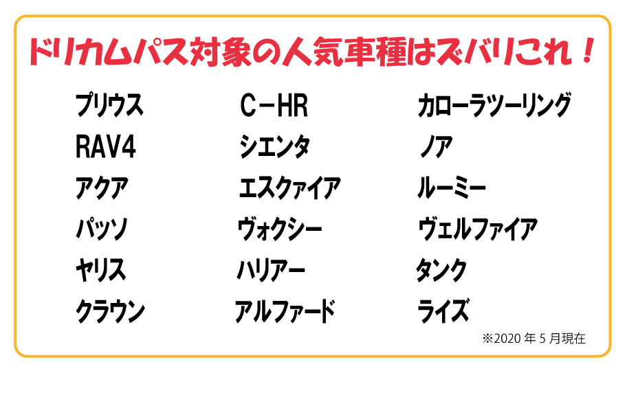 ドリカムパス18