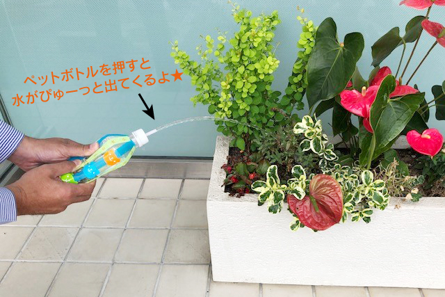 遊び方