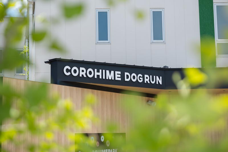 COROHIME_ドッグラン写真⑨