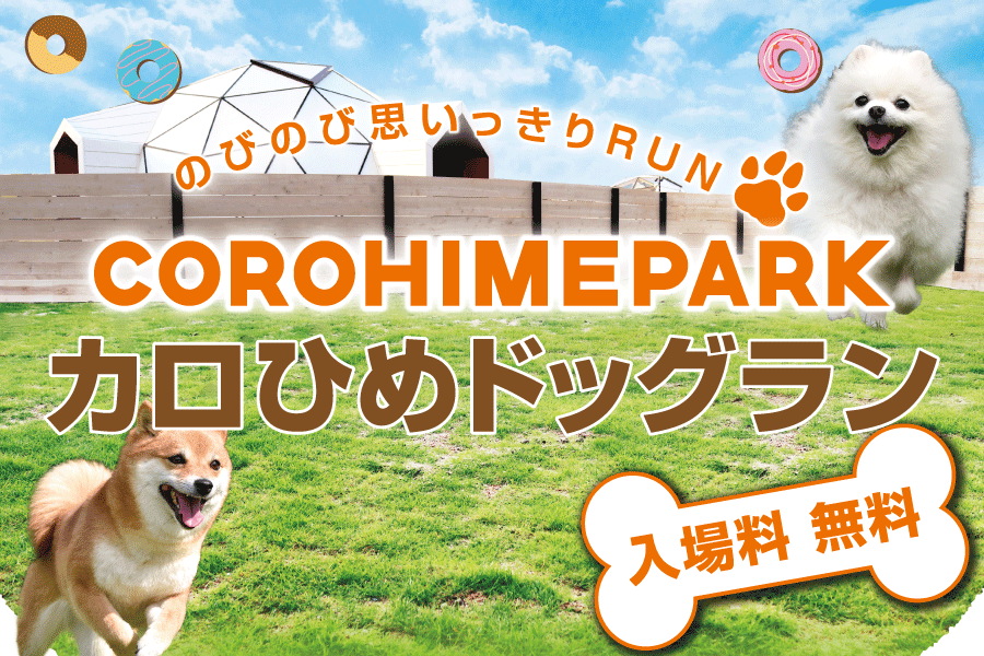 カロひめドッグラン | トヨタカローラ姫路