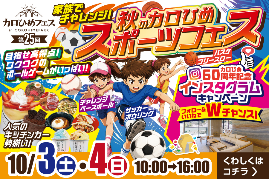 フェス