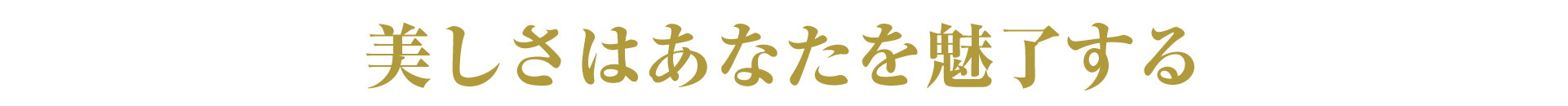 美しさはあなたを魅了する